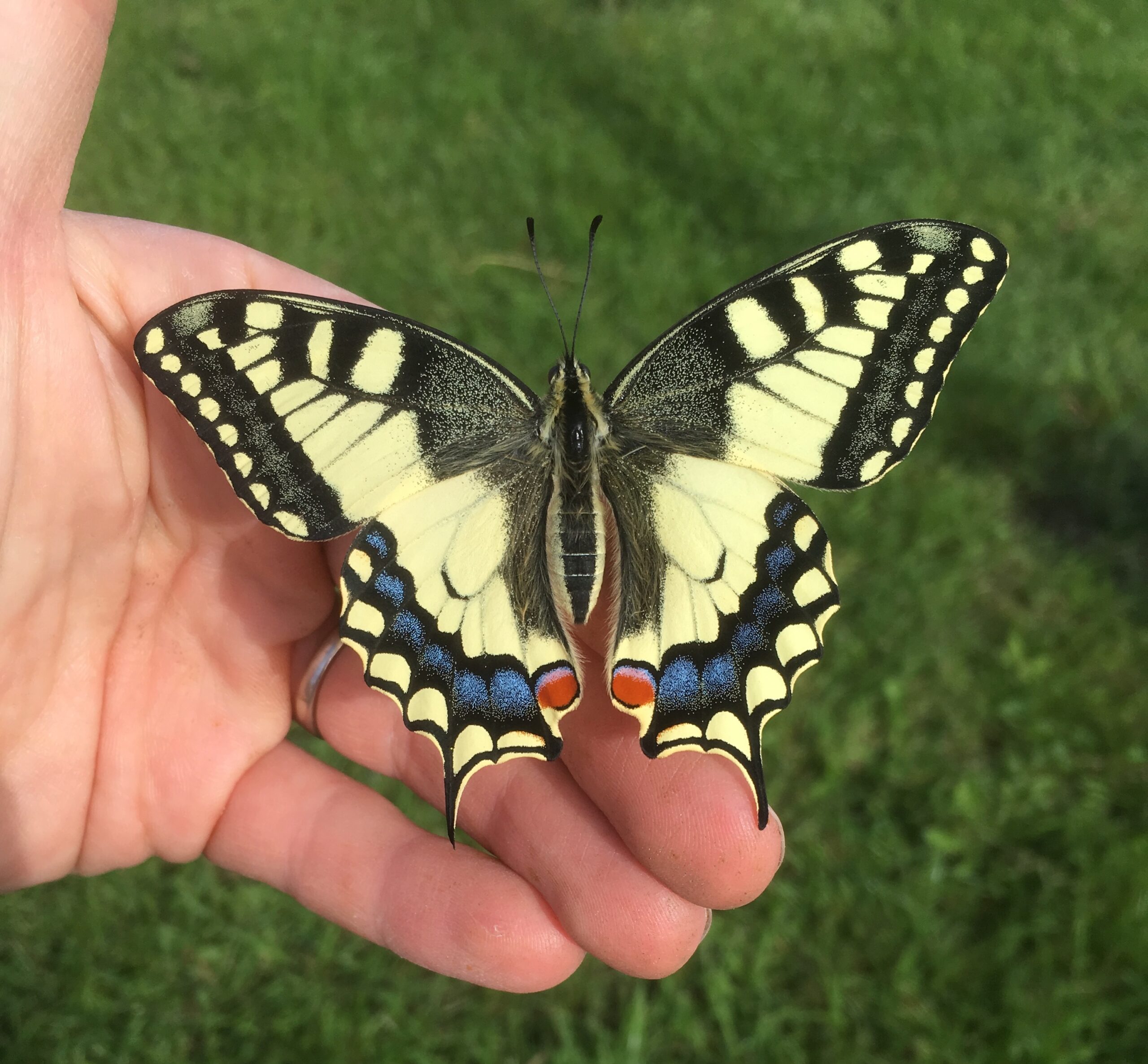 animations nature pour communes