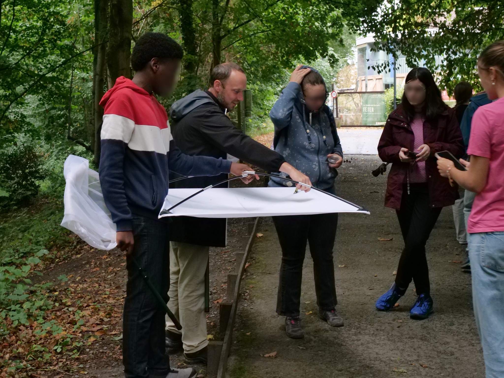 Formations nature insectes wallonie