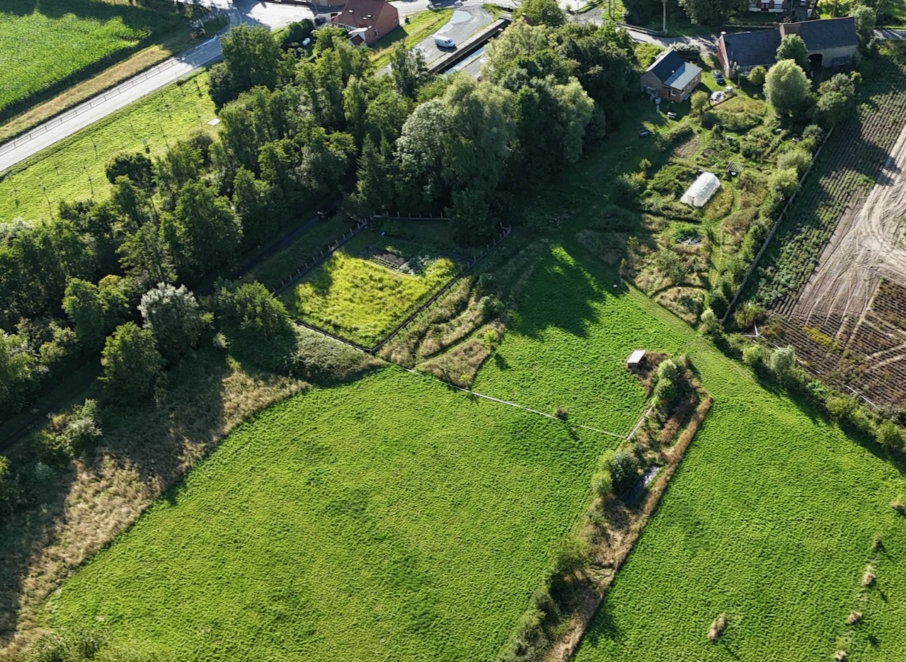 Team-building nature Harchies Hainaut