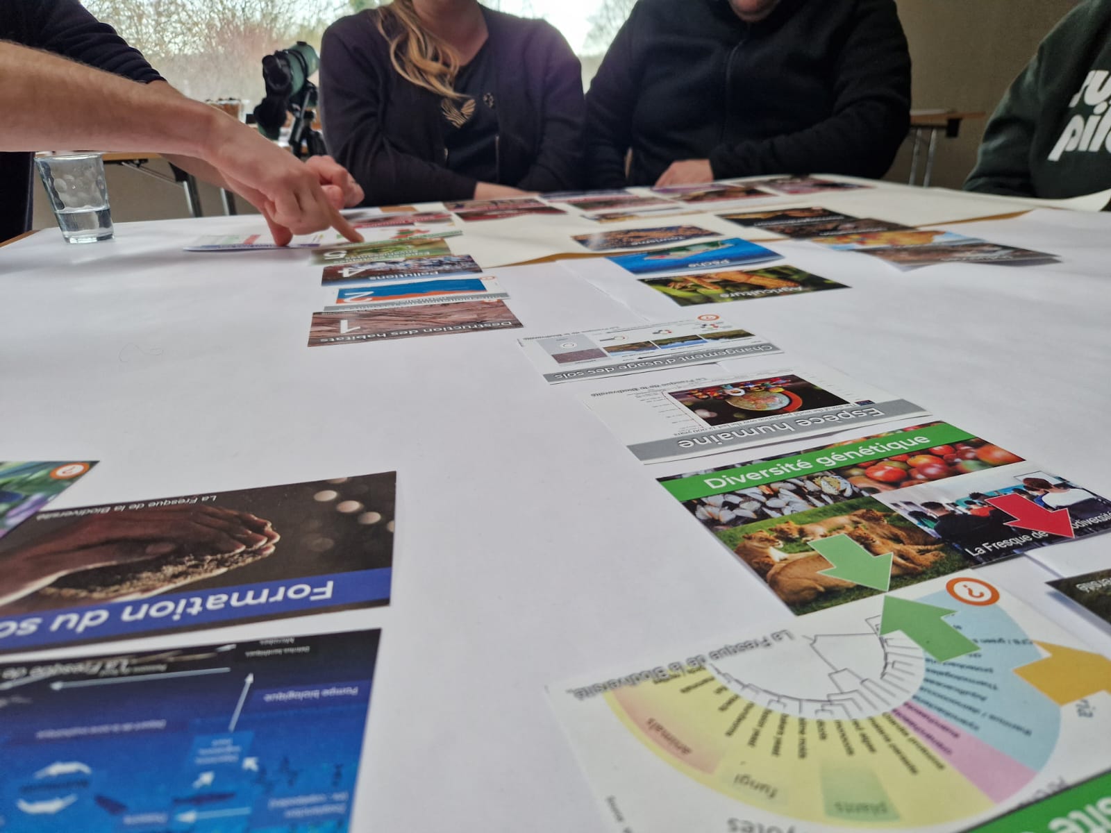 fresque de la biodiversité