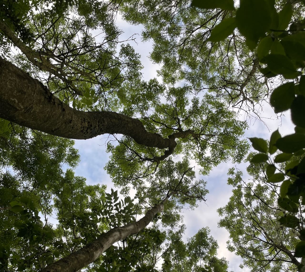 bain de nature en équipe hainaut