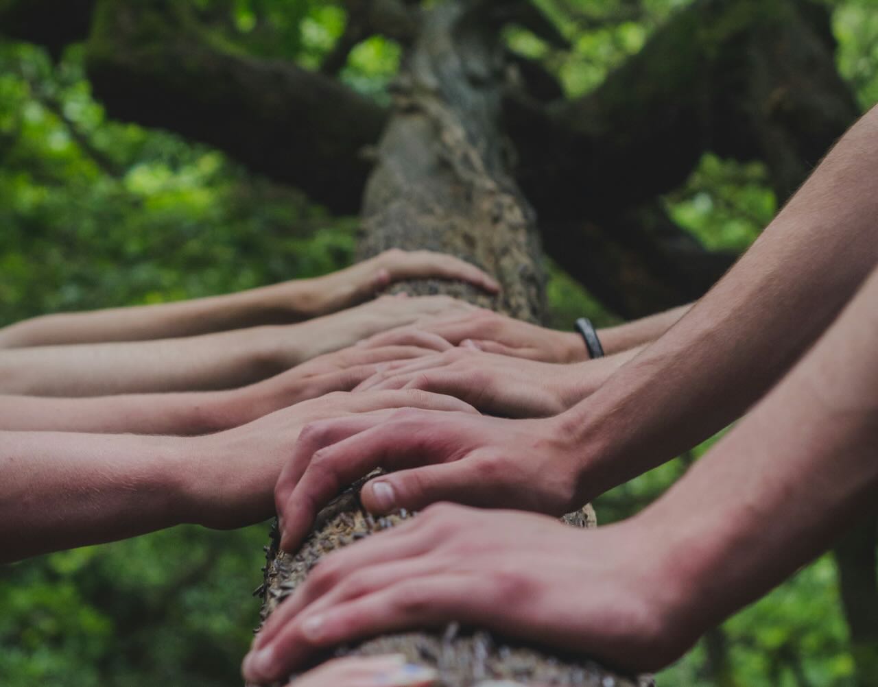 journée équipe nature - 1 Journée de cohésion nature photo Shane Rounce sur Unsplash