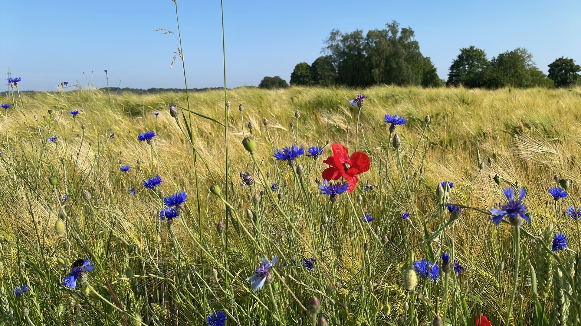 Team building Nature