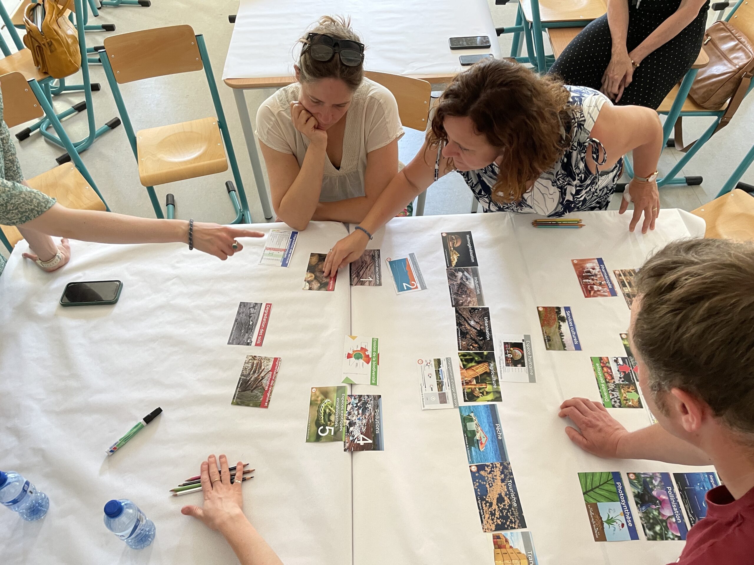 fresque de la biodiversité